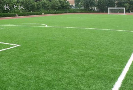  昂热主场草皮质量问题引发投诉  